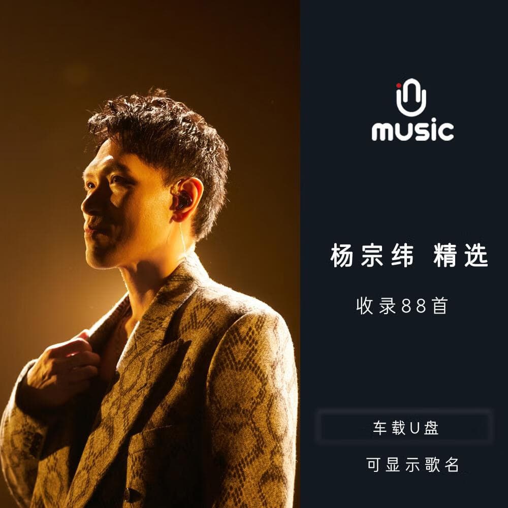 杨宗纬原唱歌曲合集精选U盘汽车载音乐优盘流行经典无损高音mp3 高音mp3