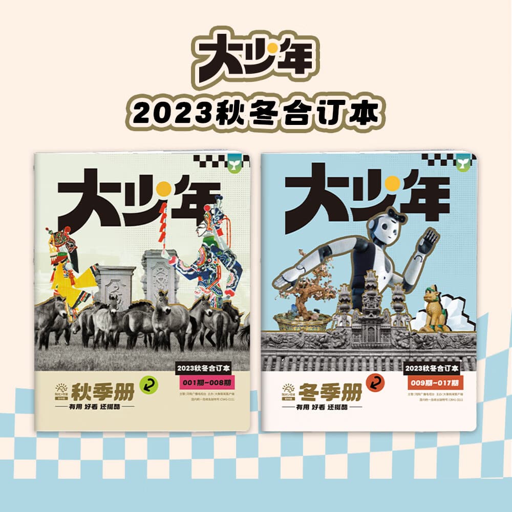 阳光少年报/大少年2023年春夏/秋冬合订本 /2024年春夏/秋冬/2025春夏合订本杂志铺  1-6年级中小学生课外阅读读物 青少年儿童新闻类时事期刊 青少年课外书新闻阅读期刊 现货 初中版大少年