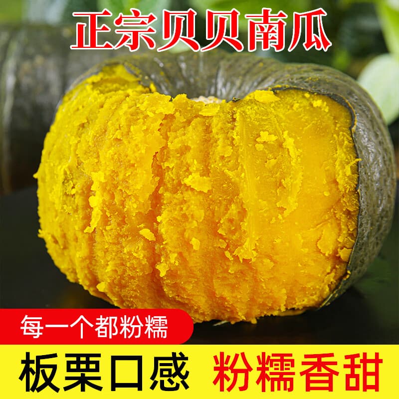 京鲜匠山东真贝贝南瓜正宗 栗香老瓜 粉糯香甜小南瓜 新鲜蔬菜源头直发 净 4.5斤 精品果