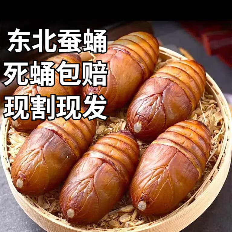 品吉味蚕蛹  东北特产柞蚕蛹  鲜活大体蝉蛹黄黑蚕蛹500g  活体茧蛹 A级大黄蚕蛹一斤【4-5cm】