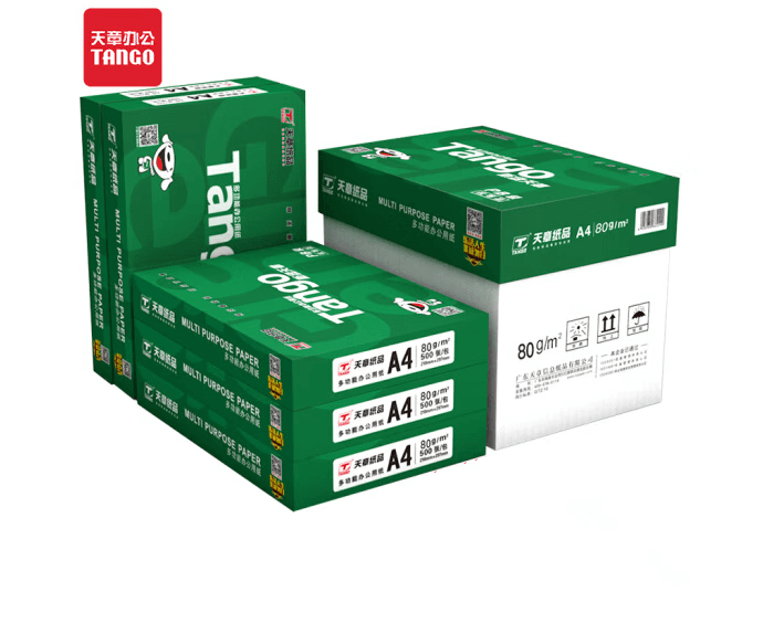 DELI得力a4纸打印纸珊瑚海70g80克500页A4复印纸8包整箱办公用纸 新绿天章80克5包  1箱2500张 