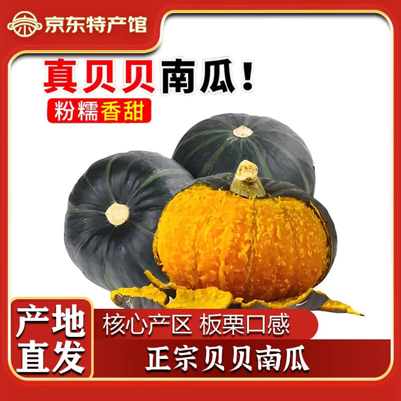 沁园秋正宗贝贝南瓜板栗味小南瓜生鲜蔬菜粉面香甜 贝贝南瓜净4.5- 5斤 （5-10个）