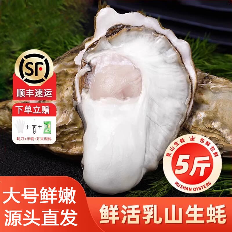 百鲜洽乳山生蚝鲜活特大牡蛎带壳生吃海蛎子新鲜海鲜水产贝类聚会烧烤 【90%选择】4XL带箱5斤(约10-13只)