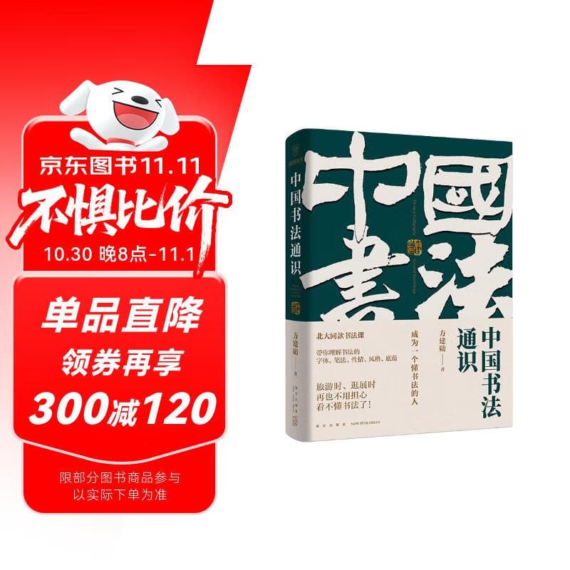 中国书法通识（北大爆款书法课 带你成为一个懂书法的人 得到图书）  