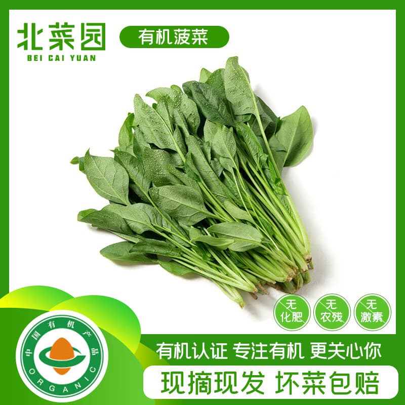 北菜园有机菠菜赤根250g有机蔬菜【进店多样加购】火锅食材涮菜 