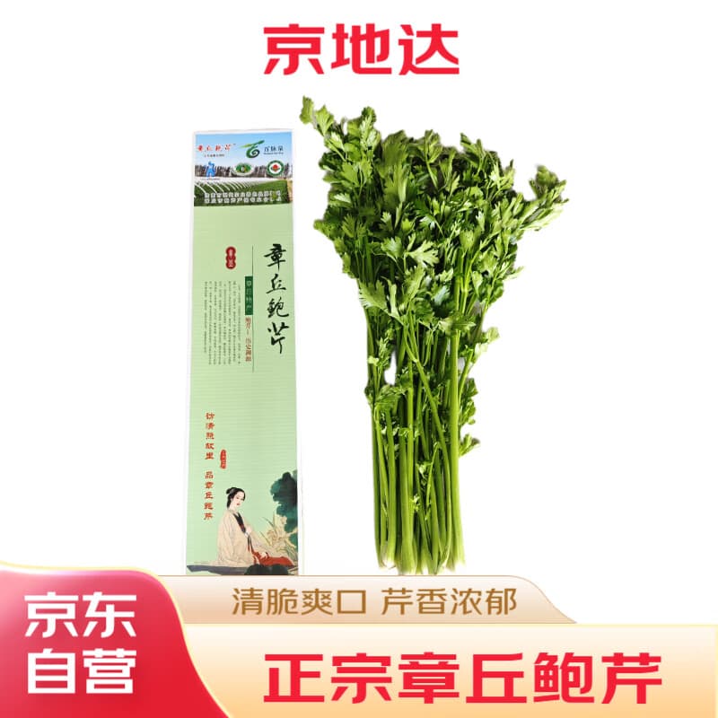 京地达山东正宗章丘鲍芹净重3斤礼盒 精品净芹新鲜蔬菜特产源头直发包邮