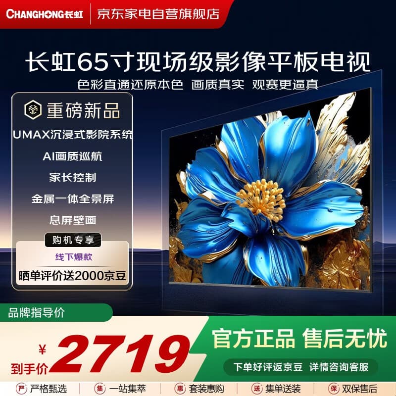长虹（CHANGHONG）电视【小旋风】 65英寸观赛电视全通道120Hz DC无屏闪 UMAX影院系统电视机65Q10TH-G国家补贴15%
