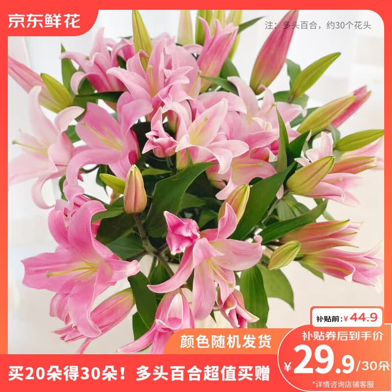 京东鲜花香水百合20朵送10朵共30朵随机色鲜切花圣诞节元旦节送礼源头直发