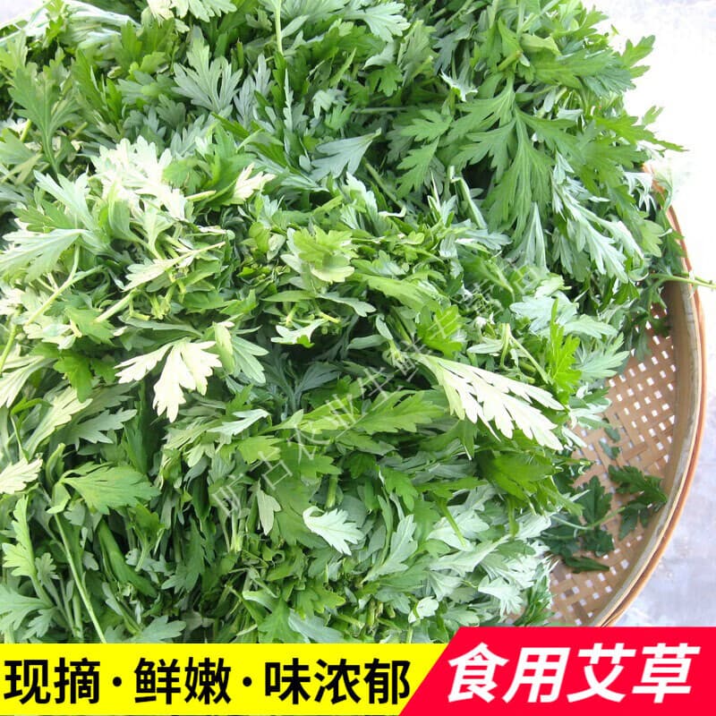 旷古农业艾草新鲜 艾草叶嫩艾蒿 青团蒿子粑粑清明果蔬菜食材 健康轻食 1斤